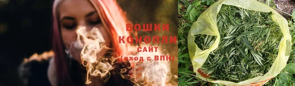 ешки Гусь-Хрустальный