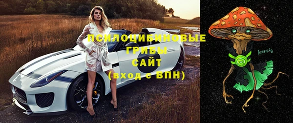 MDMA Premium VHQ Гусиноозёрск