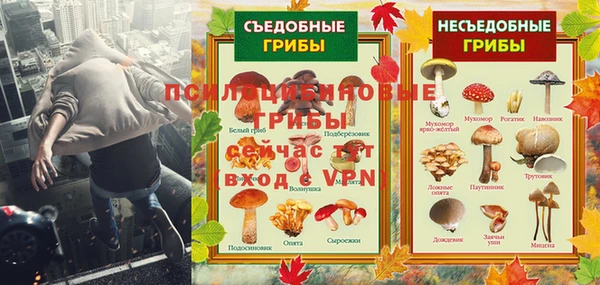 MDMA Premium VHQ Гусиноозёрск