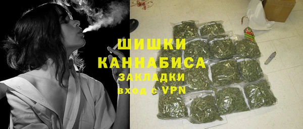 ешки Гусь-Хрустальный